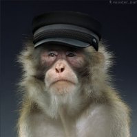 Не защта, брат.