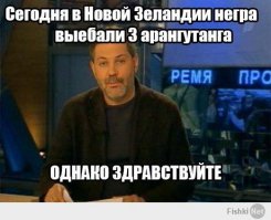 ЦРУ «уволило» лабрадора, которому было неинтересно искать взрывчатку