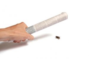 Да-а...
Газеткой от такого не отмашешься.