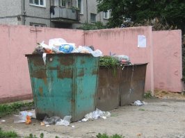 Тут скорее разруха а не помойка.Помойка в моём понимании это вот это.