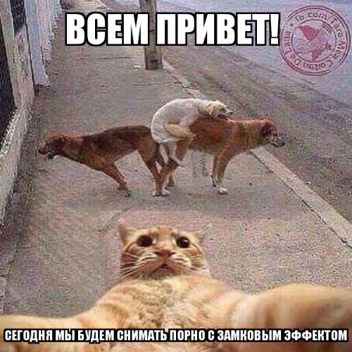 10 фактов о фильмах для взрослых, которые вы могли и не знать