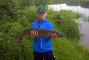 Таких надо фаршировать))))