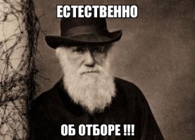 Пpeмия Дaрвинa - 2017. Великая битва при свинарнике