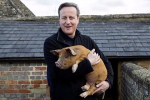 Ну, вообще-то свинье тяжело мужику откусить пенис, если он им открыто не размахивает. 
Очевидцев схватки не было, откуда подробности? Вряд ли Михель был откровенен. История попахивает безответной любовью...