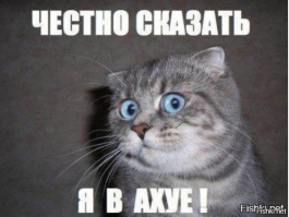 В Нью-Йорке прошел 27-ой костюмированный собачий парад: умилительное зрелище!