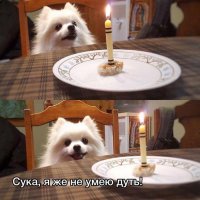 Свежая подборка демотиваторов, которые поднимут вам настроение