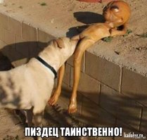 Что это было? Таинственная фигура гуманоида проплыла в небе над Сиднеем