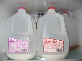 Когда покупаете молоко или питьевую воду, то не выбрасывайте тару в которое продается вода или молоко. Через некоторое время у вас соберется необходимое количество канистр.