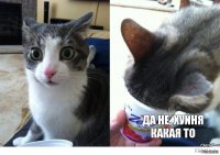 Ниасилил даже по диагонали.... Йобань редкостная