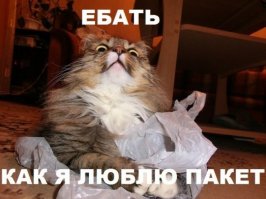 Стоить будет дороже чем обычный диван 100 %))Буржуи!!