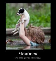 Свежая подборка демотиваторов, которые поднимут вам настроение