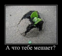 Свежая подборка демотиваторов, которые поднимут вам настроение