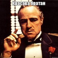 Работа за еду