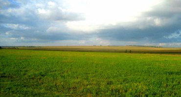 Может быть потому, что это поля, а не сады?