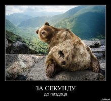 19 исключительных фотографий, сделанных "за мгновение до..."