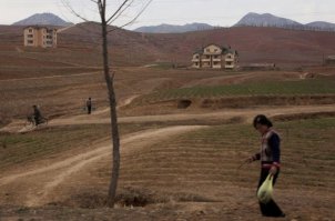 Лёгким нажатием мышки фотография превращается...превращается...превращается...