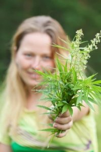 Цветы были высушенные и измельчённые ? 
И ты их скурила ? 
И это были, как-бы, не совсем цветы ?