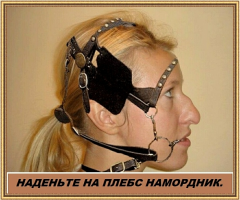 Итоги пресс-конференции Ксении Собчак и Украинский Крым