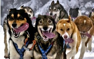 Смешные комментарии и высказывания из социальных сетей