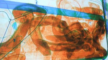 Саркофаг я тут так и не увидел. Думал обнаружили партию мужских половых органов...