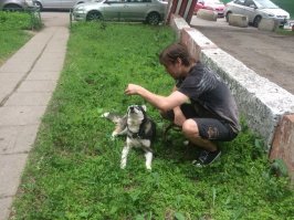 Взял полуживой, шерсти почти не было - всю сожрали. Сколько не ела - не известно, но готова была убить любого за кусок еды. Слой коротый на ней был такой, что уши "падали", про всяких глистов и чесотку уж молчать можно. Ничего, выходил красотку)