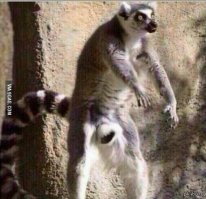 Искусственная рама активирована  Жаль только подсдулся быстро