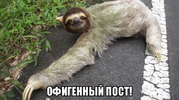 Это пост про лень. Но мне лень придумывать крутой заголовок. Поэтому вот!