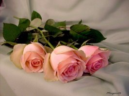 С Днем рождения !