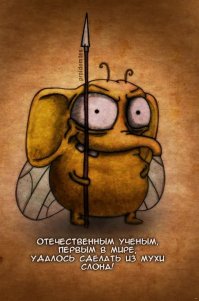 Крылатые фразы. Происхождение и история этих фраз