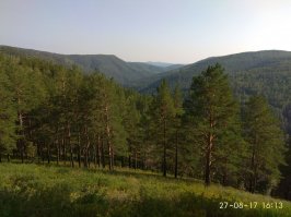 Да все реально. Сам в связи с работой живу на 2 города, Питер-Красноярск. Вот на фотках места где и косолапые бывает шарохаются и в километре неплохой домик со всеми современными хотелками можно купить за 2 ляма с нехилым приемом LTE(у меня на нем висело IPTV, ноут и 2 смарта одновременно), до Красноярска на машине минут 25 до центра, 380р на такси(посчитал по агрегатору до центра), автобус, электричка. Магазинчики, пруды, природа... блин в Питер назад не хочется. Конечно с детишками будет проблематично ибо поликлиника, школы, детсады нифига не в *шаговой доступности* и придется постоянно возить/забирать, но летом это просто все компенсируется природой, прудами, ягодами и шикарным воздухом=)). Кстати комарья вообще практически нет.