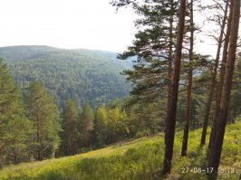 Да все реально. Сам в связи с работой живу на 2 города, Питер-Красноярск. Вот на фотках места где и косолапые бывает шарохаются и в километре неплохой домик со всеми современными хотелками можно купить за 2 ляма с нехилым приемом LTE(у меня на нем висело IPTV, ноут и 2 смарта одновременно), до Красноярска на машине минут 25 до центра, 380р на такси(посчитал по агрегатору до центра), автобус, электричка. Магазинчики, пруды, природа... блин в Питер назад не хочется. Конечно с детишками будет проблематично ибо поликлиника, школы, детсады нифига не в *шаговой доступности* и придется постоянно возить/забирать, но летом это просто все компенсируется природой, прудами, ягодами и шикарным воздухом=)). Кстати комарья вообще практически нет.
