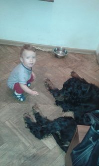 Дети и собаки вообще легко находят общий язык. На фото  мои - внук, и пёс.