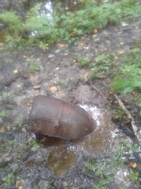 Это тоже Ленинградская область 2016 под Киришами