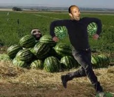 Арбузная болезнь.