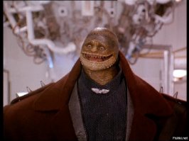 35 грандиознейших ляпов горе-дизайнеров и рекламщиков