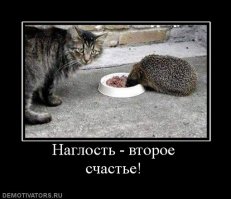 Передайте за проезд