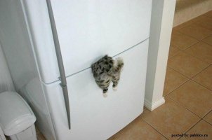 Ну тут очень короткий рассказ.