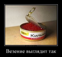 Не поверил бы, если сам бы не увидел: невероятное везение