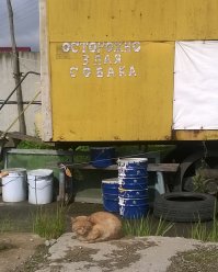 Система дала сбой)