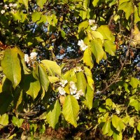 Вы не поверите,  Тоскана сегодня