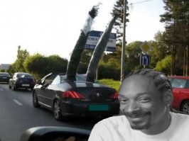 Автовсячина