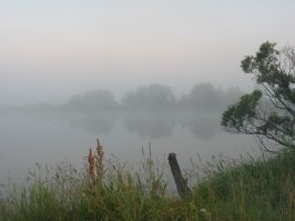 Река Цна, Тамбовская область