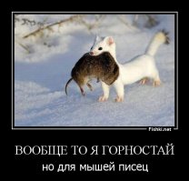 Горностай и гипнотический танец смерти