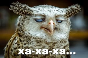 35 грандиознейших ляпов горе-дизайнеров и рекламщиков