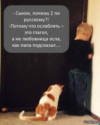 Номинация "Батя года" на Фишках