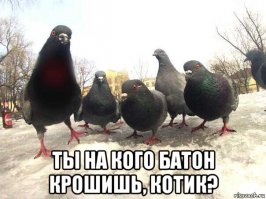 Смешные комментарии и высказывания из социальных сетей