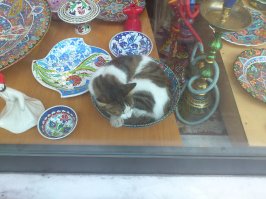 Ну вот только ещё, к теме кошек- витрина одной из лавок))