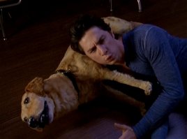 Австралийская компания, помогающая тем, кто не готов проститься с умершим питомцем