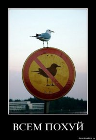 Знаменитости, которые скрывали свою семью ото всех