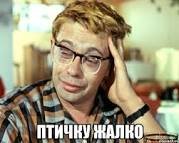У Сейшельских островов засняли, как рыба поймала птицу
